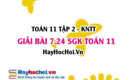Bài 7.24 SGK Toán 11 Tập 2 Kết nối tri thức